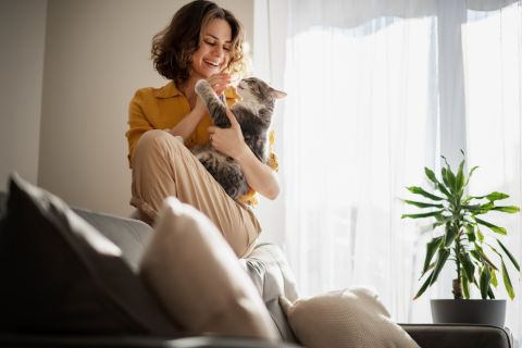 Beautiful cheerful young woman with a cute gray cat in her arms at home in the interior, friendship and love for pets 